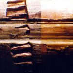 Comparazione positiva dei solchi conduttori e delle microstrie residuate sulla 2° delle n. 6 impronte di rigatura